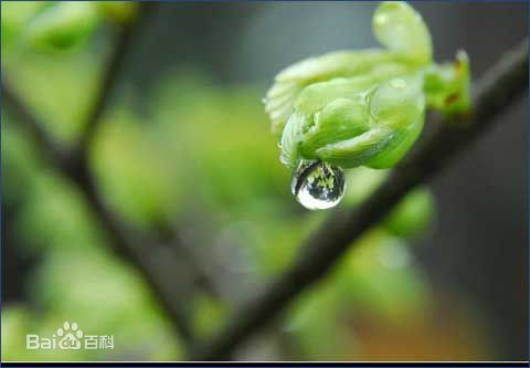 喜訊！2017新年開(kāi)工第一份中標(biāo)通知書(shū)